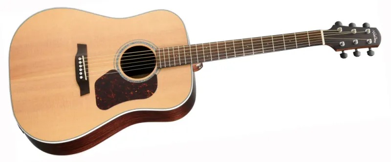 Walden D800EW Electric-Acoustic Guitar